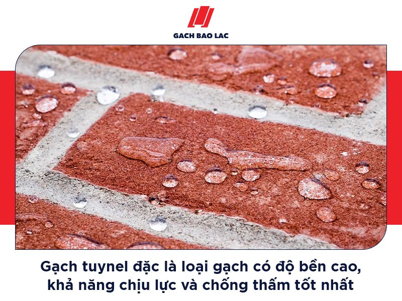 Kinh nghiệm chọn gạch tuynel chất lượng: Lời khuyên từ chuyên gia-1