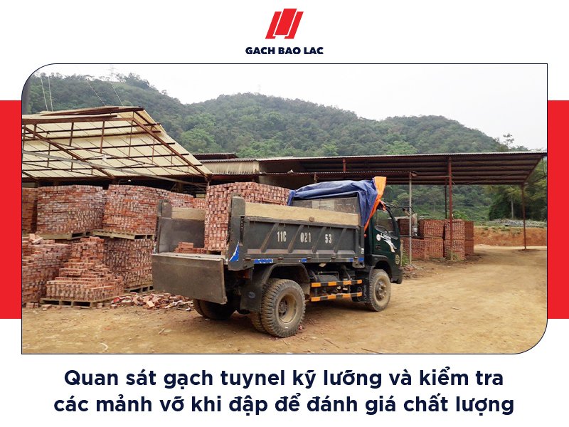 Kinh nghiệm chọn gạch tuynel chất lượng: Lời khuyên từ chuyên gia-4