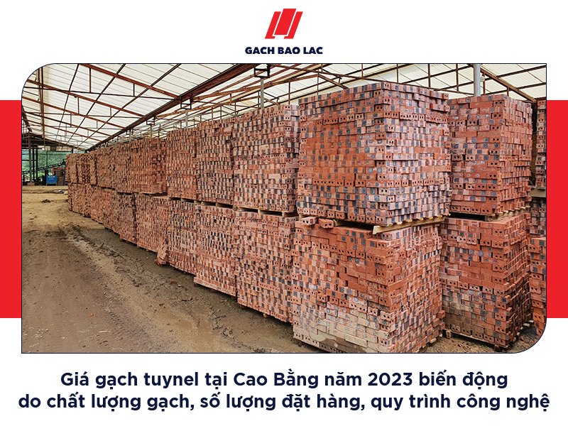 Cập nhật giá gạch xây nhà năm 2023 mới nhất-1