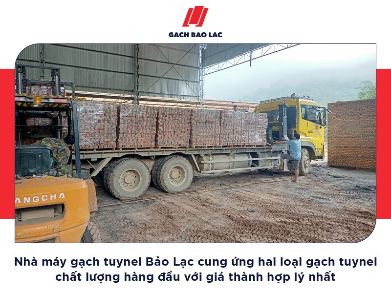 Có nên sử dụng gạch tuynel trong xây dựng không? 4 loại gạch tuynel phổ biến nhất hiện nay-4