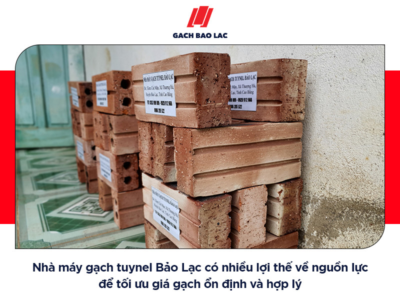 Cập nhật mới nhất về giá gạch đặc xây nhà năm 2023-4