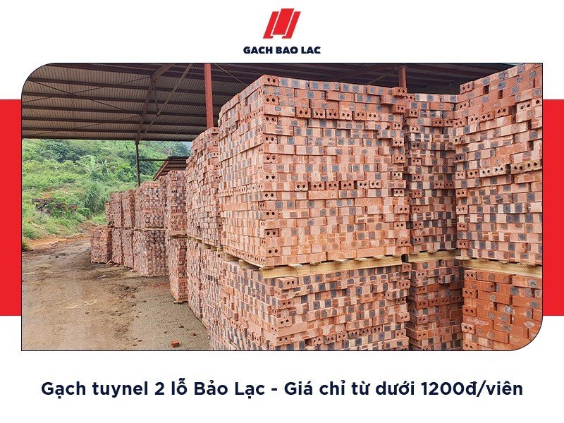 Gạch xây nhà 2 lỗ giá bao nhiêu
