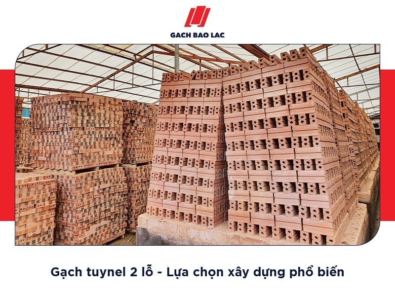 Gạch 2 lỗ là gì