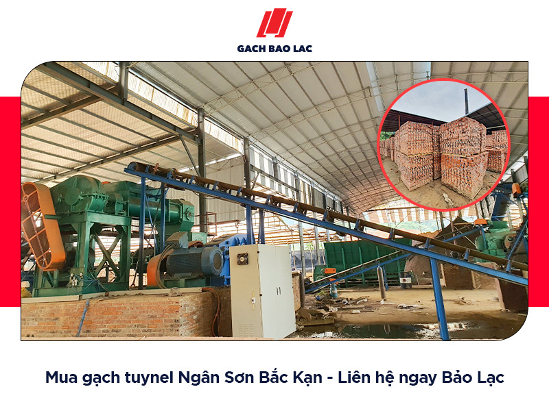gạch tuynel Ngân Sơn Bắc Kạn