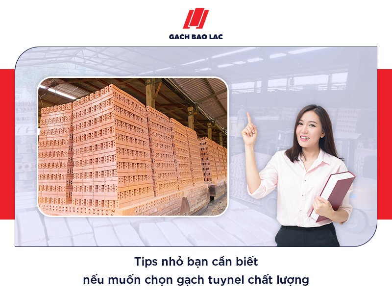 Gạch tuynel giá bao nhiêu