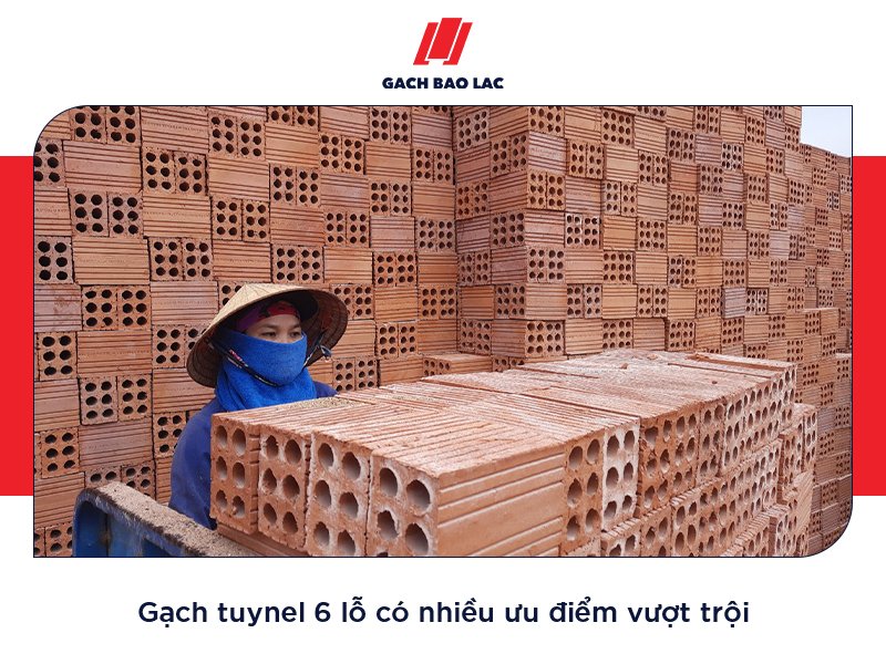 Gạch tuynel 6 lỗ
