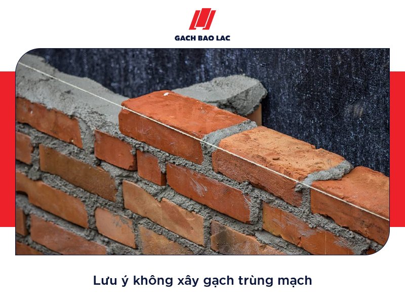Gạch tuynel 6 lỗ