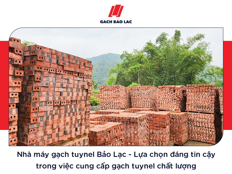 Gạch tuynel 6 lỗ