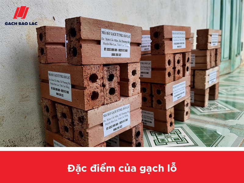 Gạch lỗ là gì? Vì sao gạch xây nhà thường là gạch lỗ?