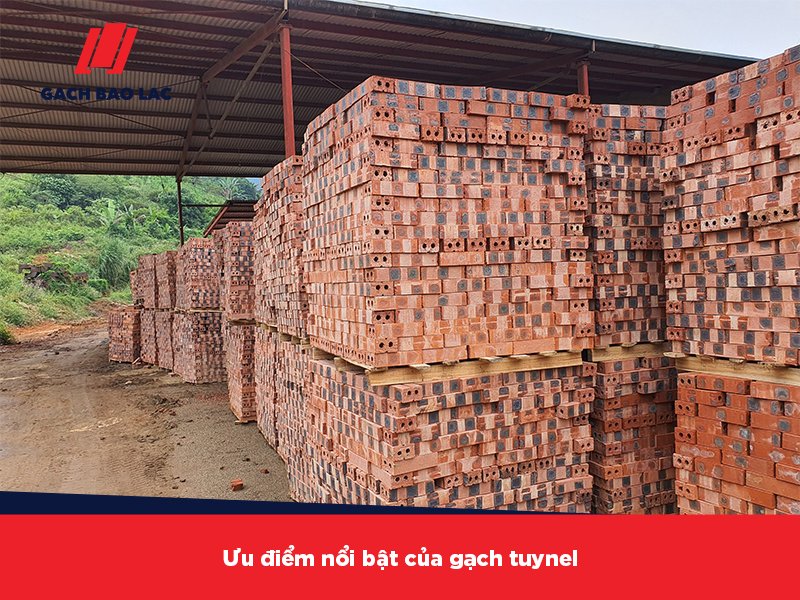 Xây nhà bằng gạch tuynel và những điều bạn cần biết
