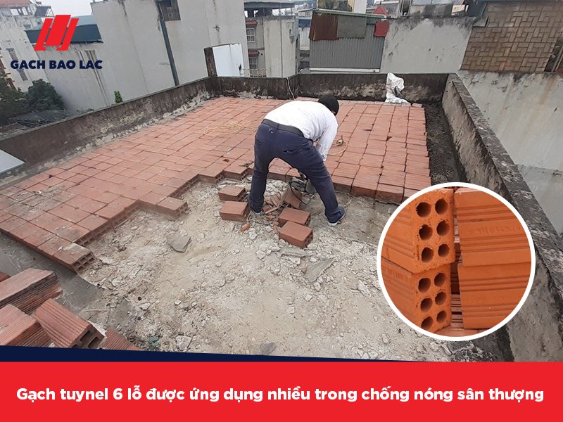 gạch tuynel 6 lỗ