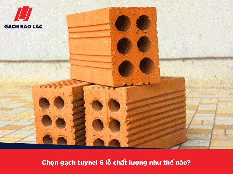 gạch tuynel 6 lỗ