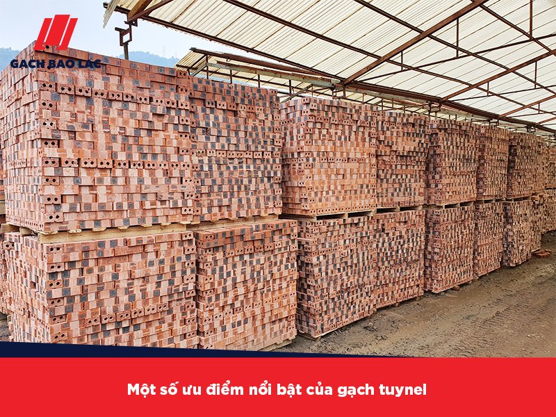 mua gạch tuynel tại Hà Giang