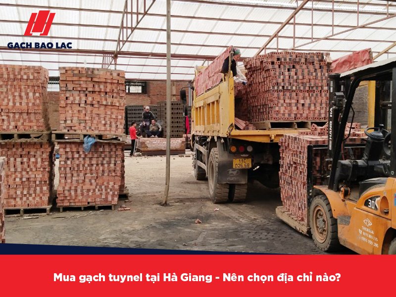 mua gạch tuynel tại Hà Giang