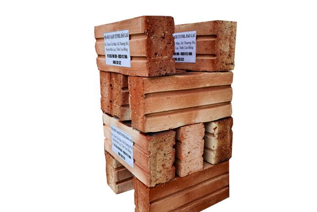 Gạch tuynel đặc