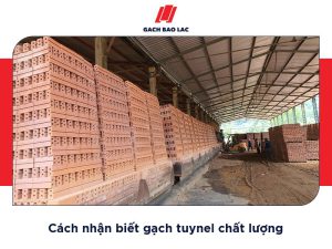 Gạch tuynel nào được sử dụng nhiều trên thị trường?