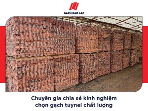 Kinh nghiệm chọn gạch tuynel chất lượng: Lời khuyên từ chuyên gia-3