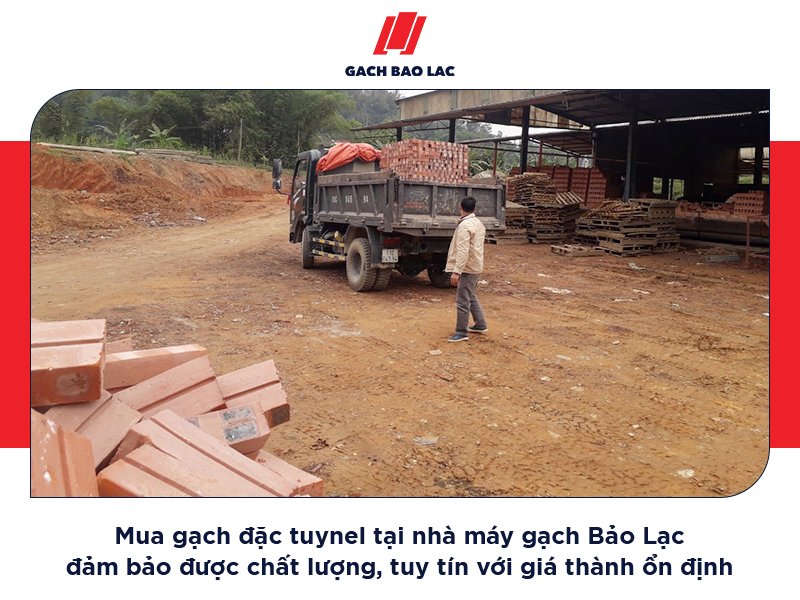 giá gạch đặc tuynel