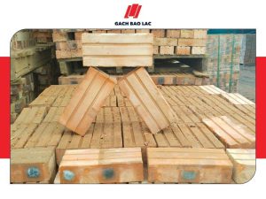 Gạch đặc tuynel là gì? Loại gạch này được ứng dụng để làm gì?-1