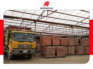 Cập nhật mới nhất về giá gạch đặc xây nhà năm 2023-1