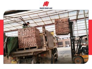 Tham khảo giá gạch tuynel tại Bắc Kạn chính xác nhất-1