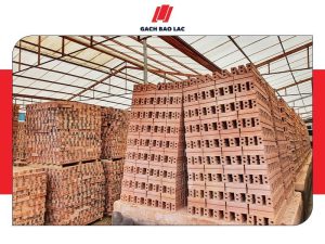 Tư vấn cách chọn gạch tuynel 2 lỗ phù hợp nhất cho công trình xây dựng-1