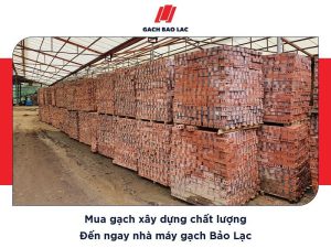 Cần lưu ý những gì khi chọn gạch xây nhà để tường không nứt vỡ, thấm nước?