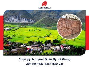 Gạch tuynel Quản Bạ Hà Giang