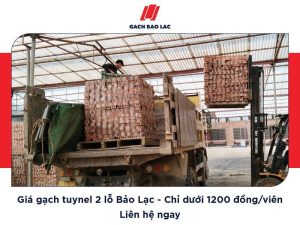 Giá gạch xây 2 lỗ
