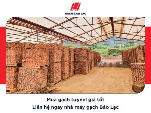 Báo giá gạch tuynel