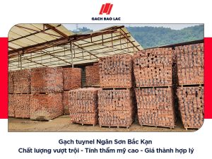 gạch tuynel Ngân Sơn Bắc Kạn