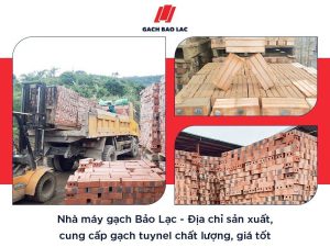 Gạch tuynel có mấy loại