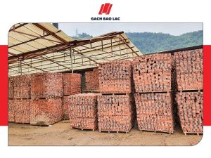 Địa chỉ phân phối gạch tuynel giá tốt hiện nay