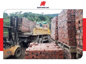 Gạch tuynel giá bao nhiêu