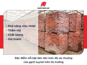 Gạch tuynel - Loại gạch xu hướng trong ngành xây dựng