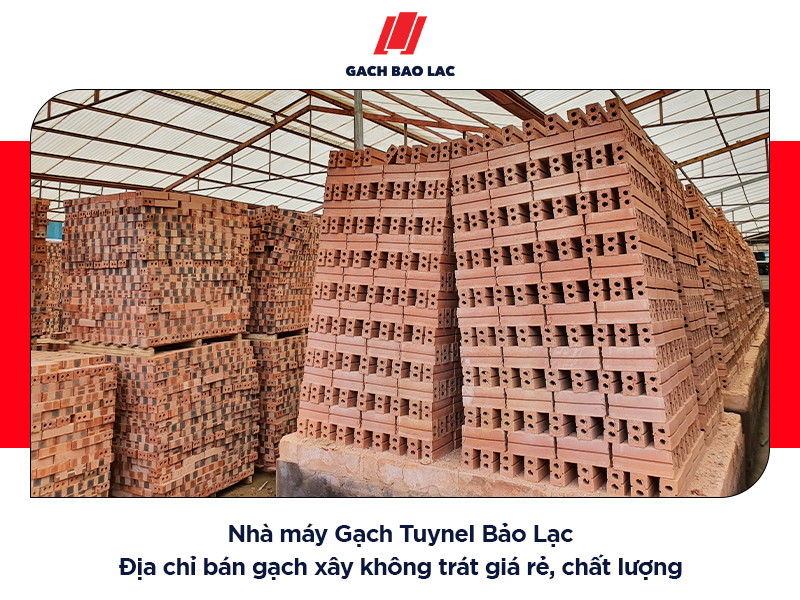 Gạch xây không trát giá rẻ