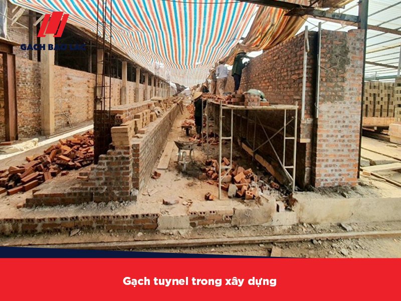 Gạch tuynel có bao nhiêu loại? Loại gạch này được ứng dụng để làm gì?